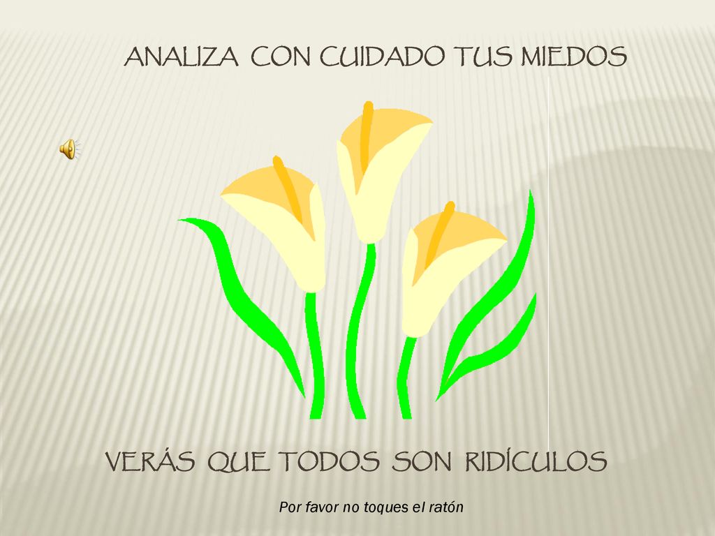 ANALIZA CON CUIDADO TUS MIEDOS VERÁS QUE TODOS SON RIDÍCULOS