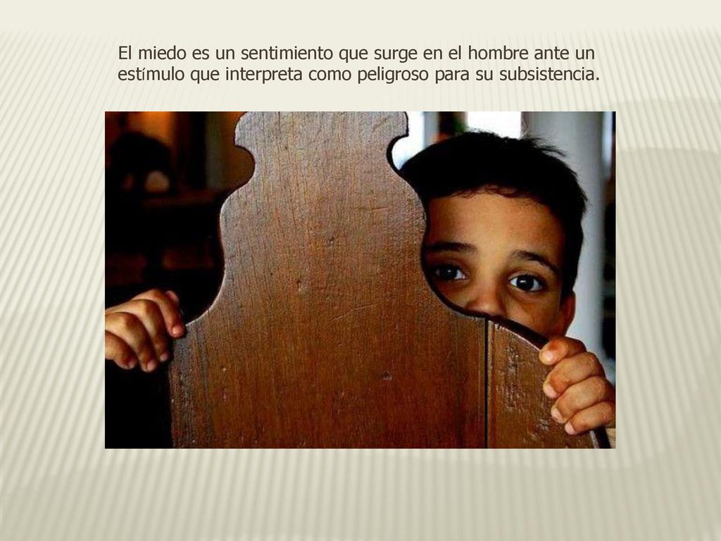 El miedo es un sentimiento que surge en el hombre ante un estímulo que interpreta como peligroso para su subsistencia.