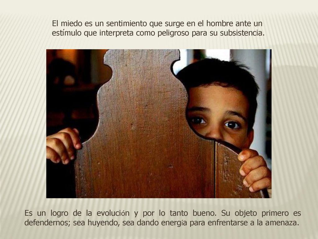 El miedo es un sentimiento que surge en el hombre ante un estímulo que interpreta como peligroso para su subsistencia.