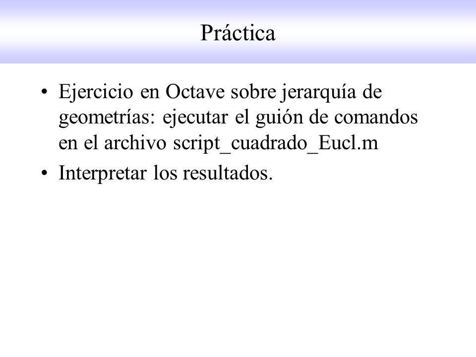 Práctica Ejercicio en Octave sobre jerarquía de geometrías: ejecutar el guión de comandos en el archivo script_cuadrado_Eucl.m.