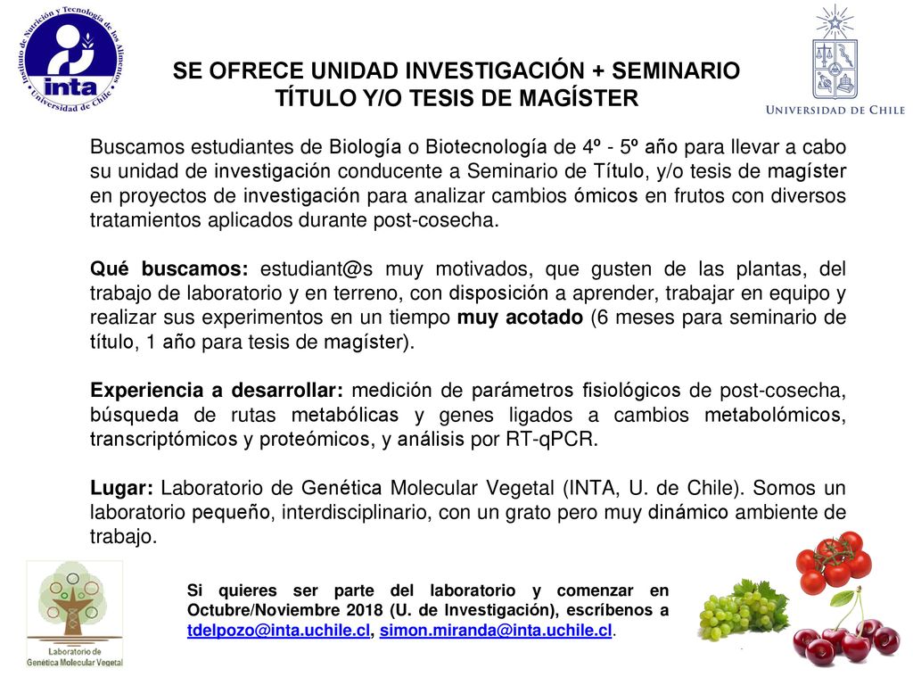 SE OFRECE UNIDAD INVESTIGACIÓN + SEMINARIO TÍTULO Y/O TESIS DE MAGÍSTER