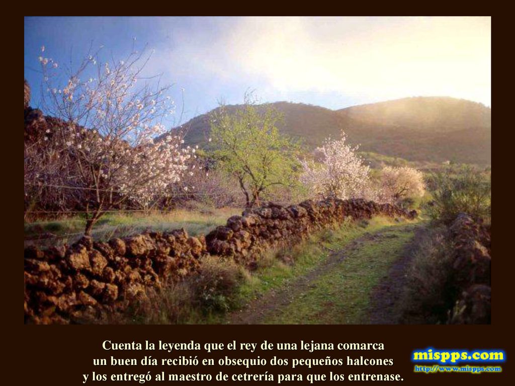 Cuenta la leyenda que el rey de una lejana comarca