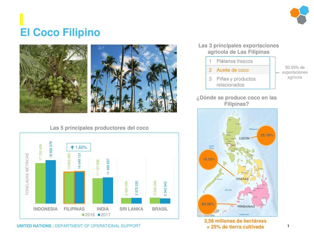El Coco Filipino Las 3 principales exportaciones agrícola de Las Filipinas. 1. Plátanos frescos. 2.