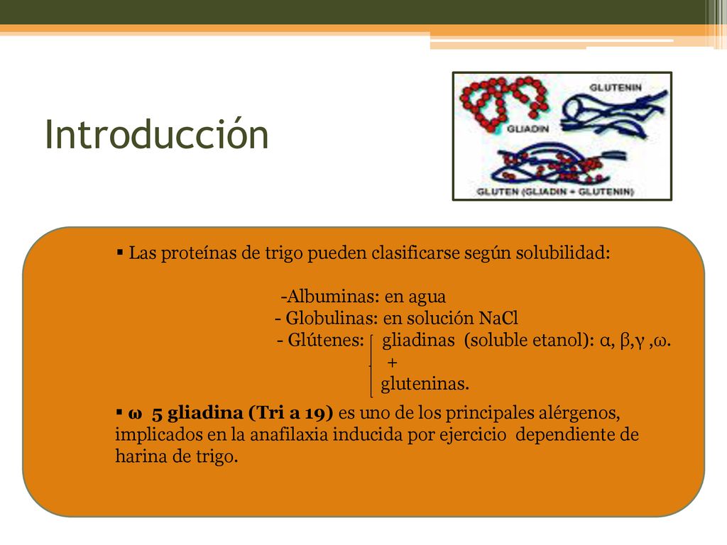 Introducción Las proteínas de trigo pueden clasificarse según solubilidad: -Albuminas: en agua. - Globulinas: en solución NaCl.