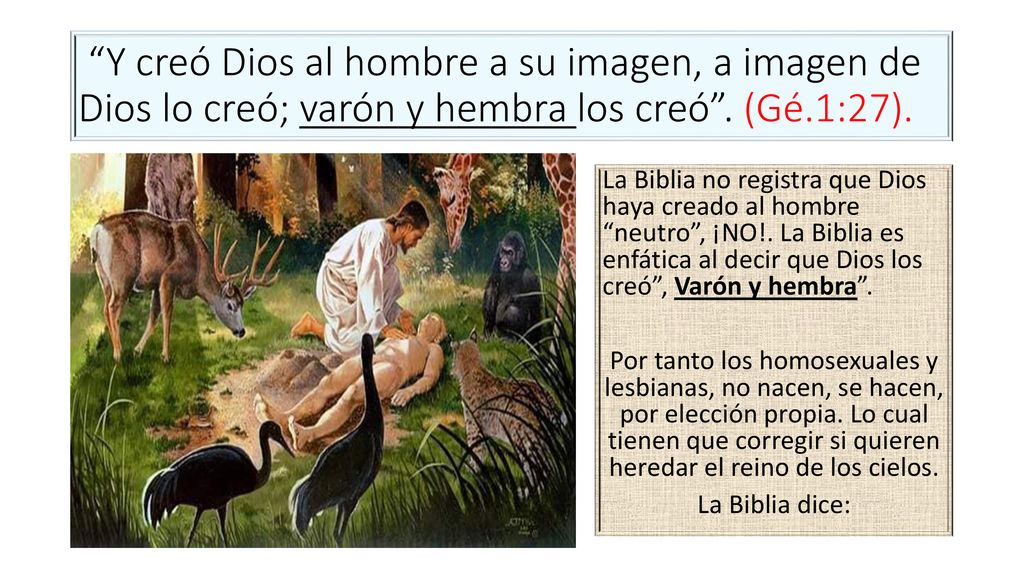 Y creó Dios al hombre a su imagen, a imagen de Dios lo creó; varón y hembra los creó . (Gé.1:27).