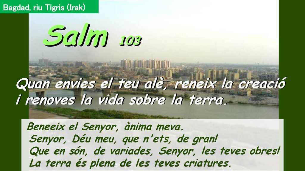 Salm 103 Quan envies el teu alè, reneix la creació