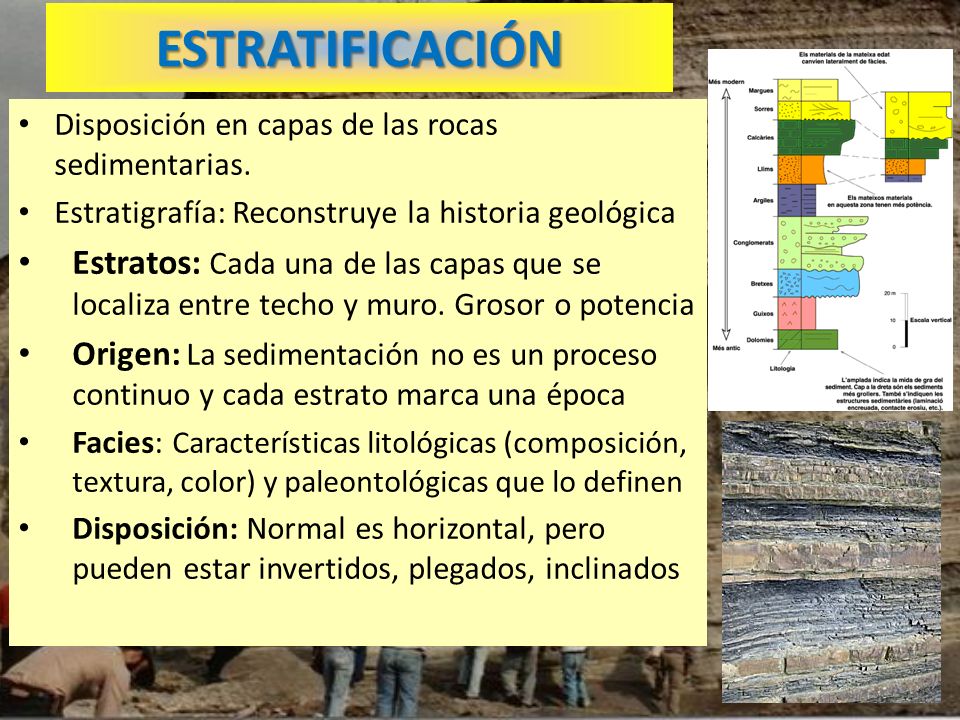 ESTRATIFICACIÓN Disposición en capas de las rocas sedimentarias. Estratigrafía: Reconstruye la historia geológica.