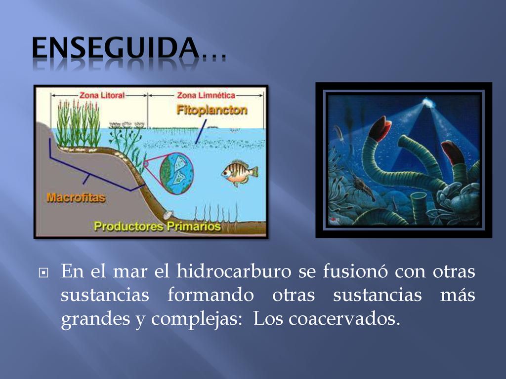 ENSEGUIDA… En el mar el hidrocarburo se fusionó con otras sustancias formando otras sustancias más grandes y complejas: Los coacervados.