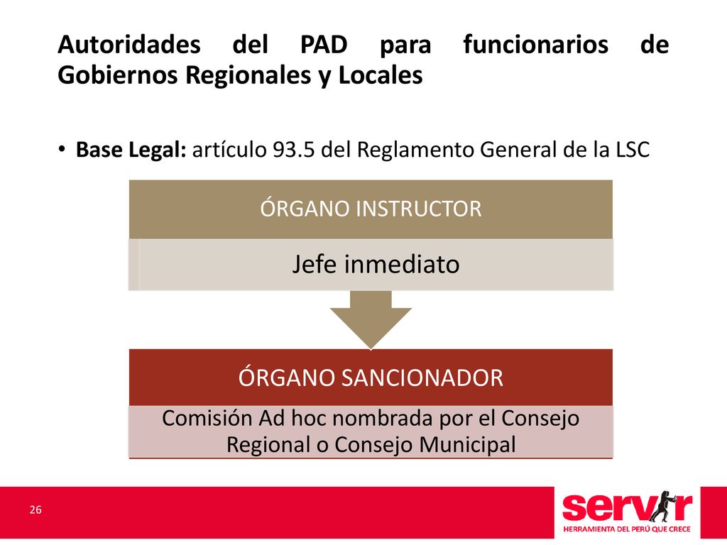 Comisión Ad hoc nombrada por el Consejo Regional o Consejo Municipal