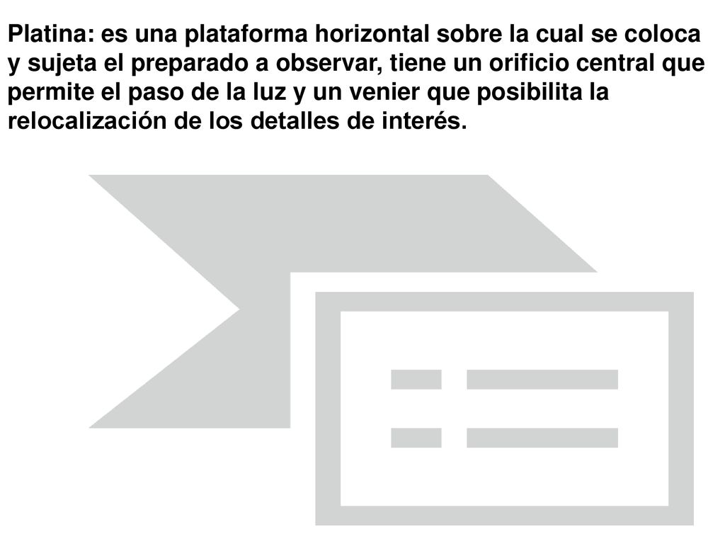 Platina: es una plataforma horizontal sobre la cual se coloca y sujeta el preparado a observar, tiene un orificio central que permite el paso de la luz y un venier que posibilita la relocalización de los detalles de interés.