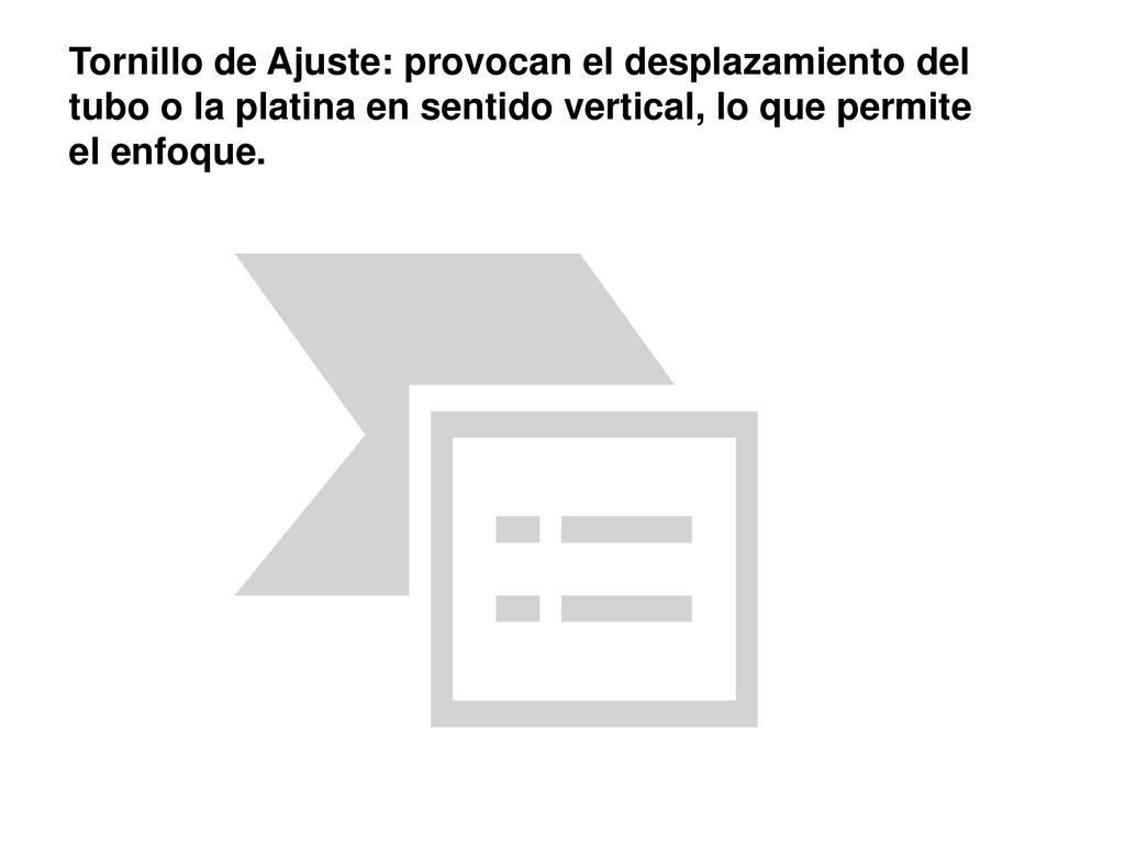 Tornillo de Ajuste: provocan el desplazamiento del tubo o la platina en sentido vertical, lo que permite el enfoque.