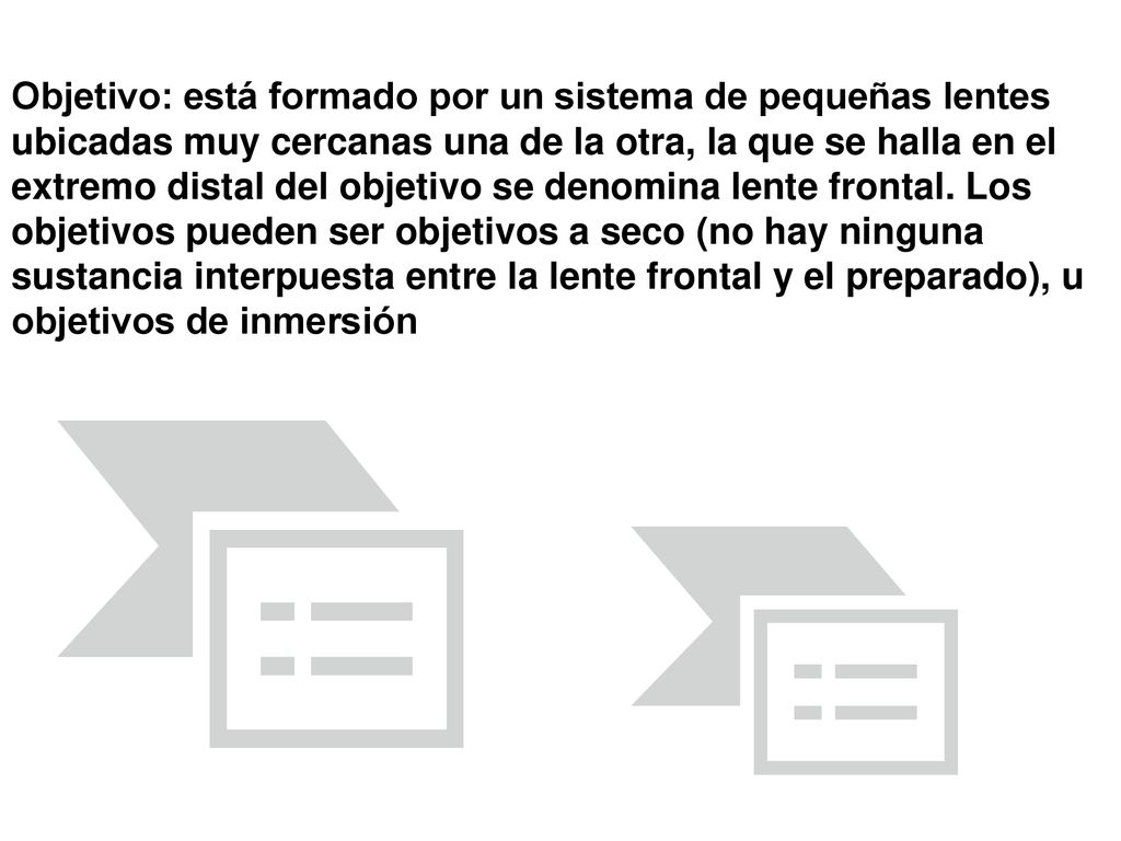 Objetivo: está formado por un sistema de pequeñas lentes ubicadas muy cercanas una de la otra, la que se halla en el extremo distal del objetivo se denomina lente frontal. Los objetivos pueden ser objetivos a seco (no hay ninguna sustancia interpuesta entre la lente frontal y el preparado), u objetivos de inmersión