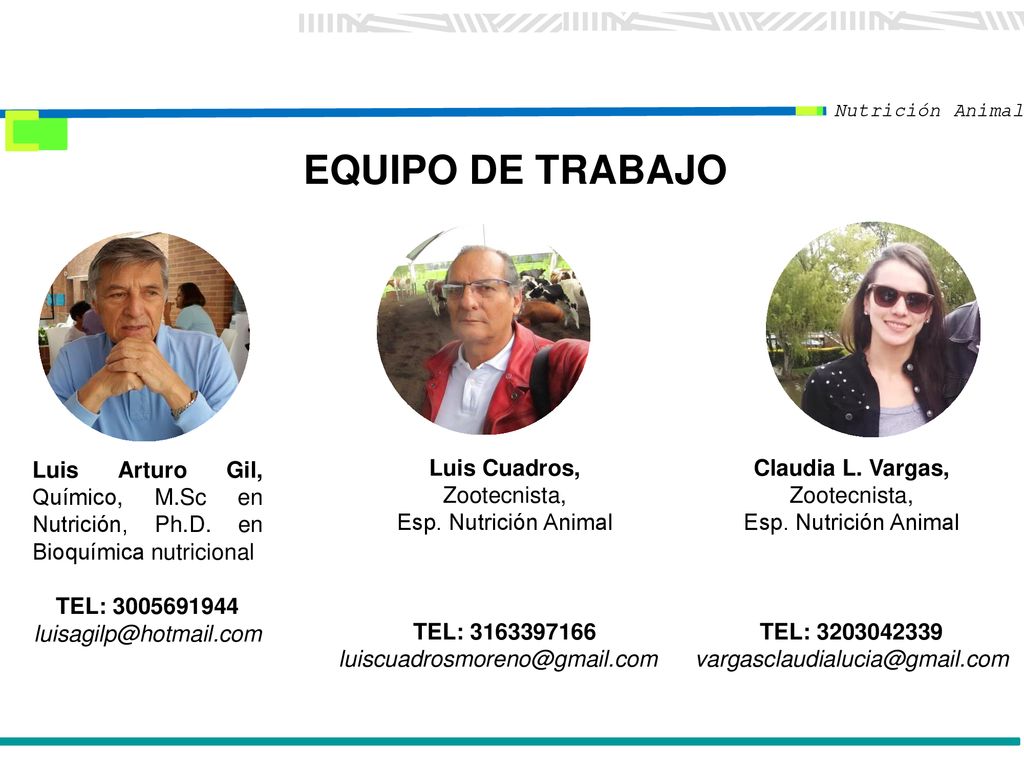 Nutrición Animal EQUIPO DE TRABAJO. Luis Arturo Gil, Químico, M.Sc en Nutrición, Ph.D. en Bioquímica nutricional.