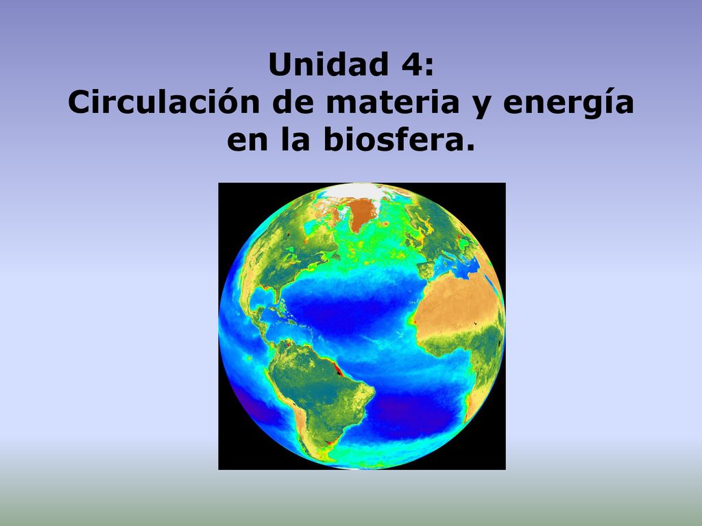 Unidad 4: Circulación de materia y energía en la biosfera.