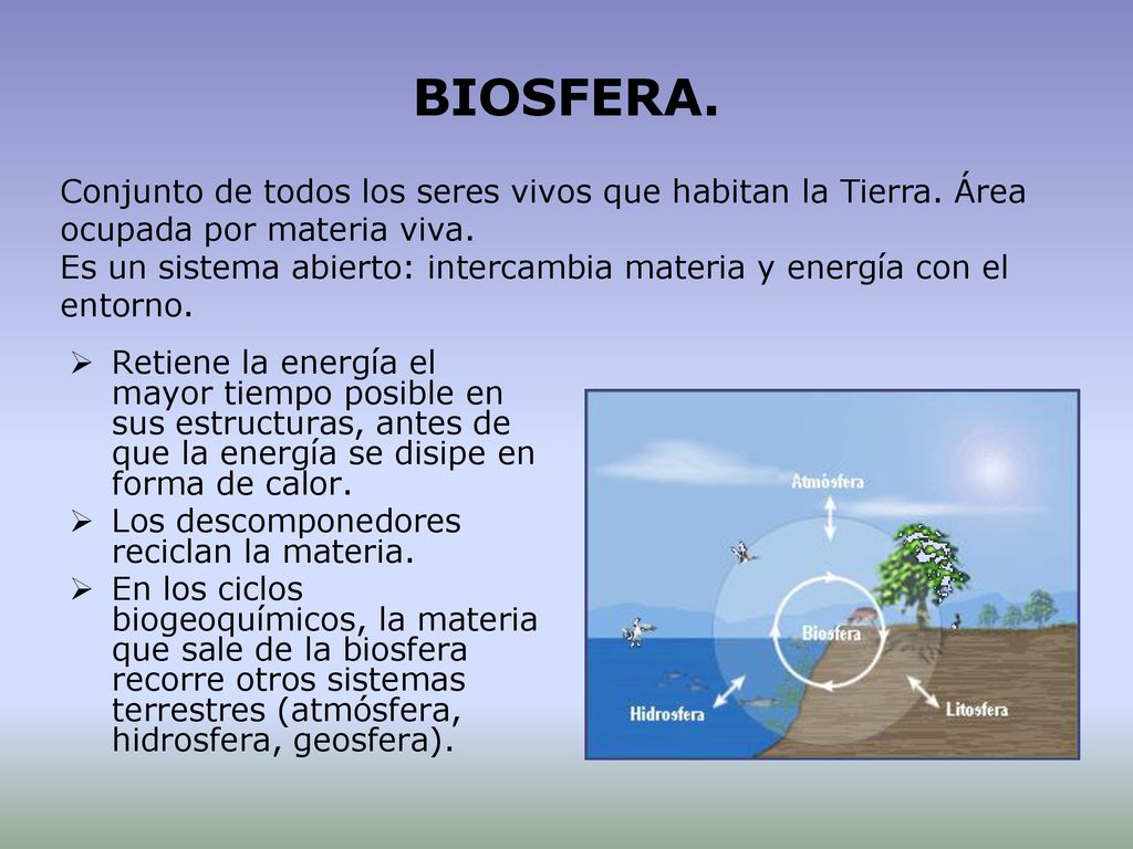 BIOSFERA. Conjunto de todos los seres vivos que habitan la Tierra. Área ocupada por materia viva.