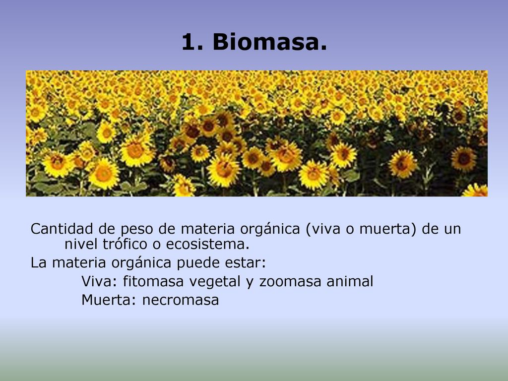 1. Biomasa. Cantidad de peso de materia orgánica (viva o muerta) de un nivel trófico o ecosistema. La materia orgánica puede estar: