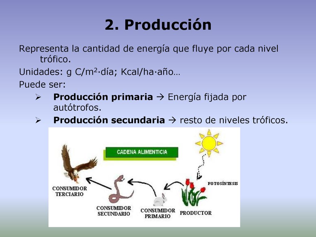 2. Producción Representa la cantidad de energía que fluye por cada nivel trófico. Unidades: g C/m2·día; Kcal/ha·año…