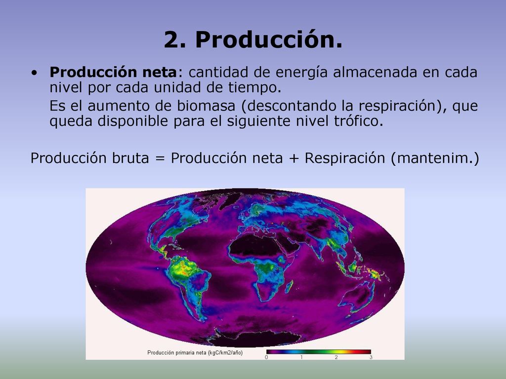 2. Producción. Producción neta: cantidad de energía almacenada en cada nivel por cada unidad de tiempo.