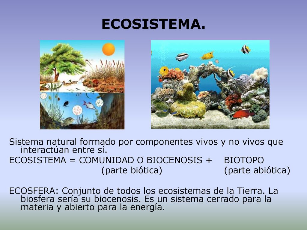 ECOSISTEMA. Sistema natural formado por componentes vivos y no vivos que interactúan entre sí. ECOSISTEMA = COMUNIDAD O BIOCENOSIS + BIOTOPO.