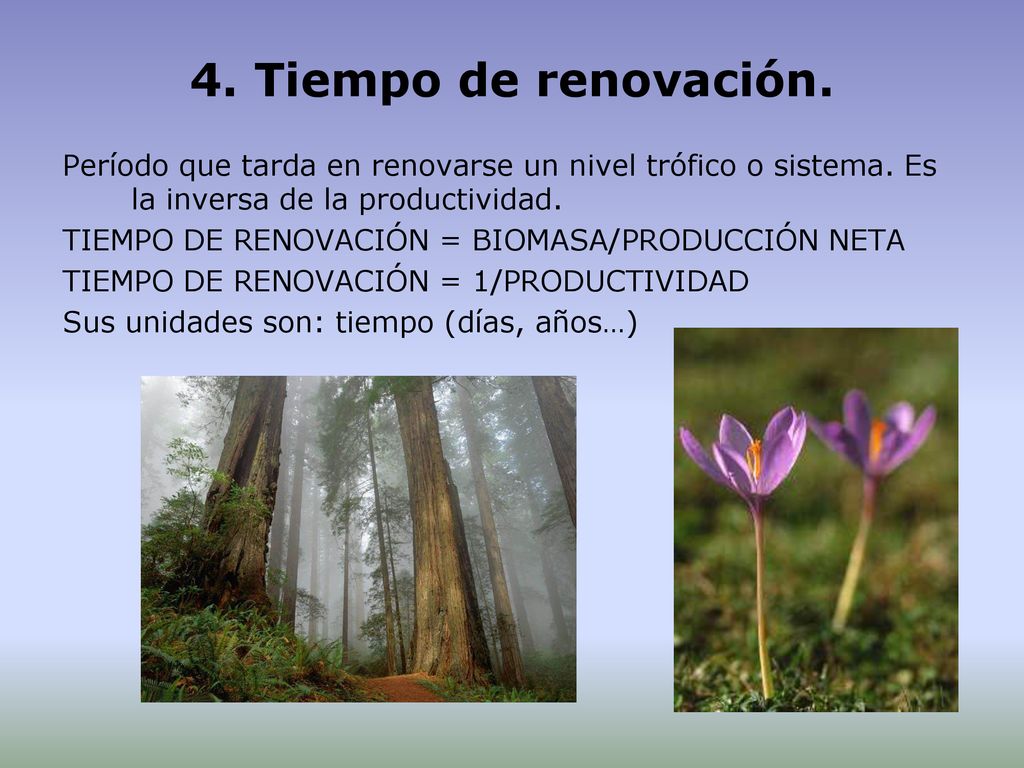 4. Tiempo de renovación. Período que tarda en renovarse un nivel trófico o sistema. Es la inversa de la productividad.
