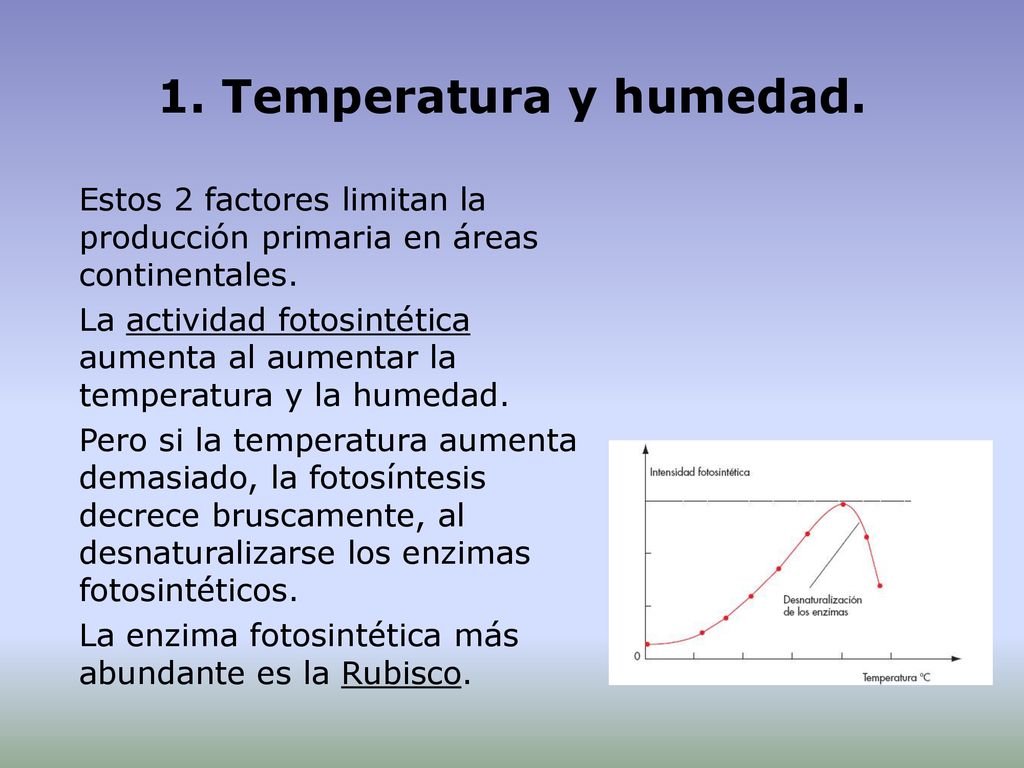 1. Temperatura y humedad. Estos 2 factores limitan la producción primaria en áreas continentales.