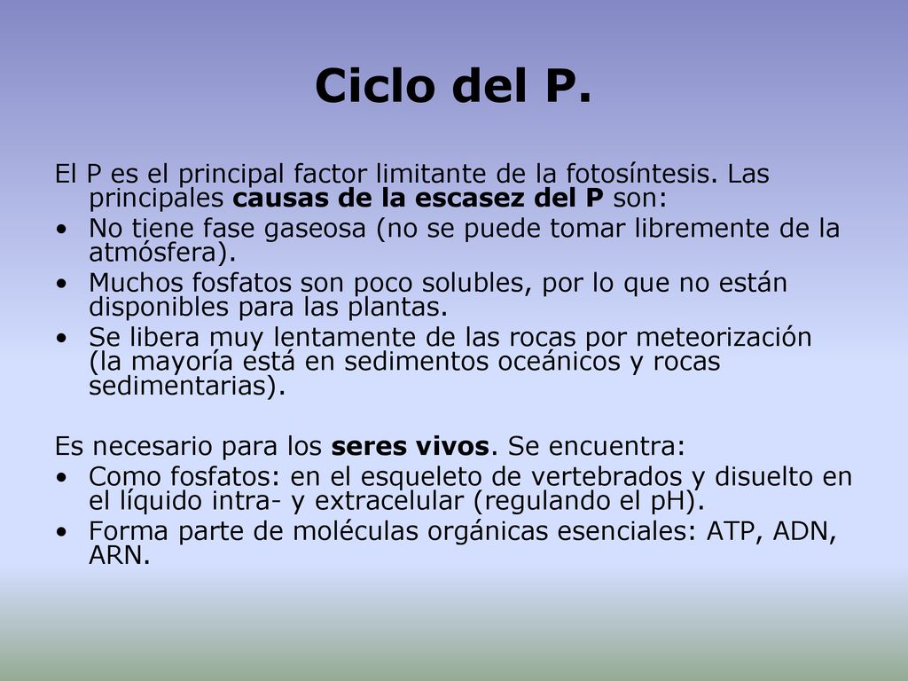 Ciclo del P. El P es el principal factor limitante de la fotosíntesis. Las principales causas de la escasez del P son: