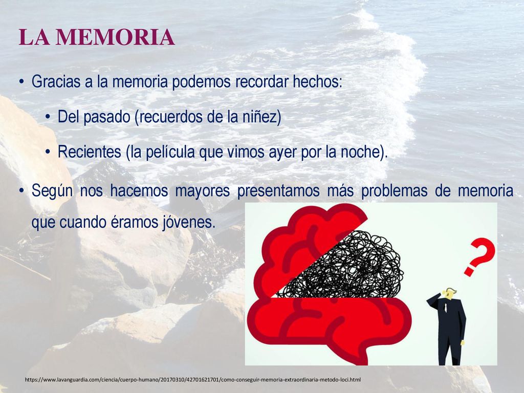 LA MEMORIA Gracias a la memoria podemos recordar hechos: