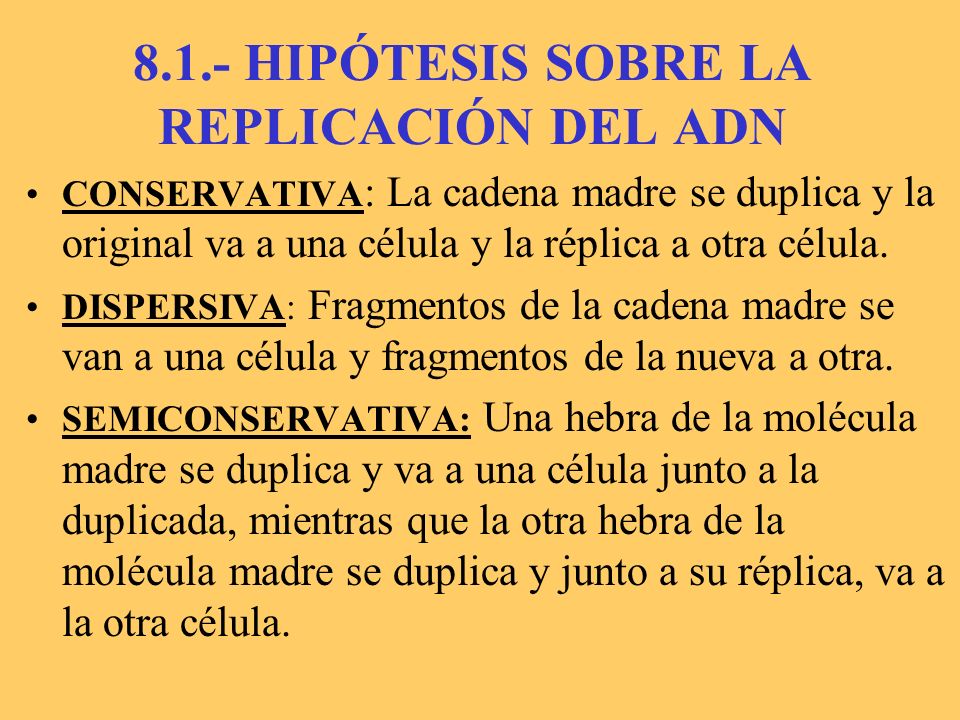 8.1.- HIPÓTESIS SOBRE LA REPLICACIÓN DEL ADN