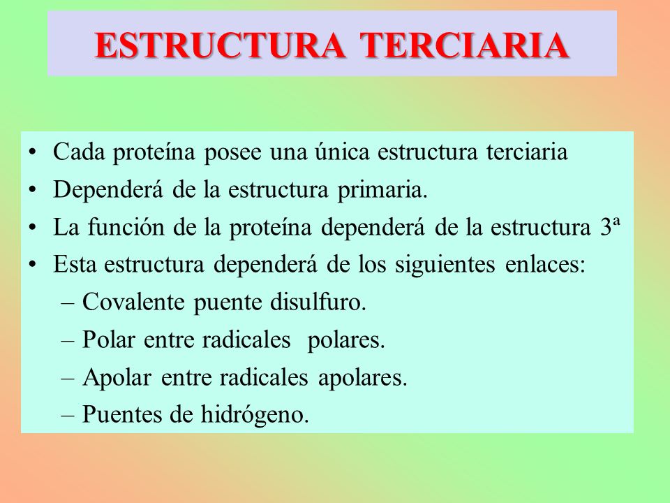 ESTRUCTURA TERCIARIA Cada proteína posee una única estructura terciaria. Dependerá de la estructura primaria.