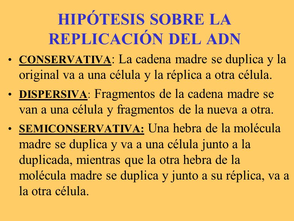 HIPÓTESIS SOBRE LA REPLICACIÓN DEL ADN