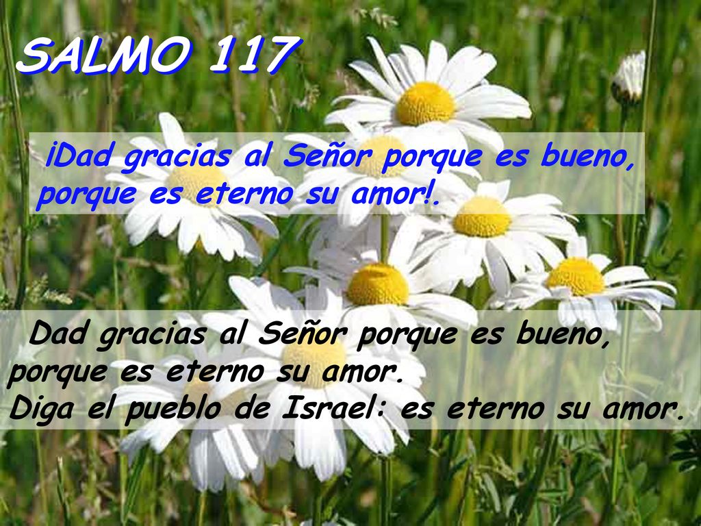 SALMO 117 Diga el pueblo de Israel: es eterno su amor.