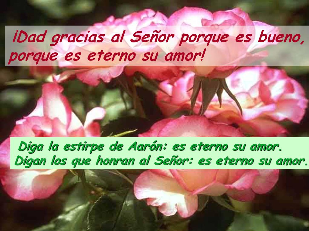 ¡Dad gracias al Señor porque es bueno, porque es eterno su amor!
