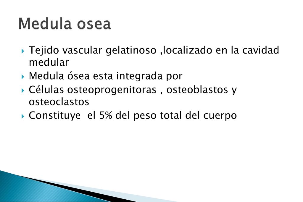 Medula osea Tejido vascular gelatinoso ,localizado en la cavidad medular. Medula ósea esta integrada por.