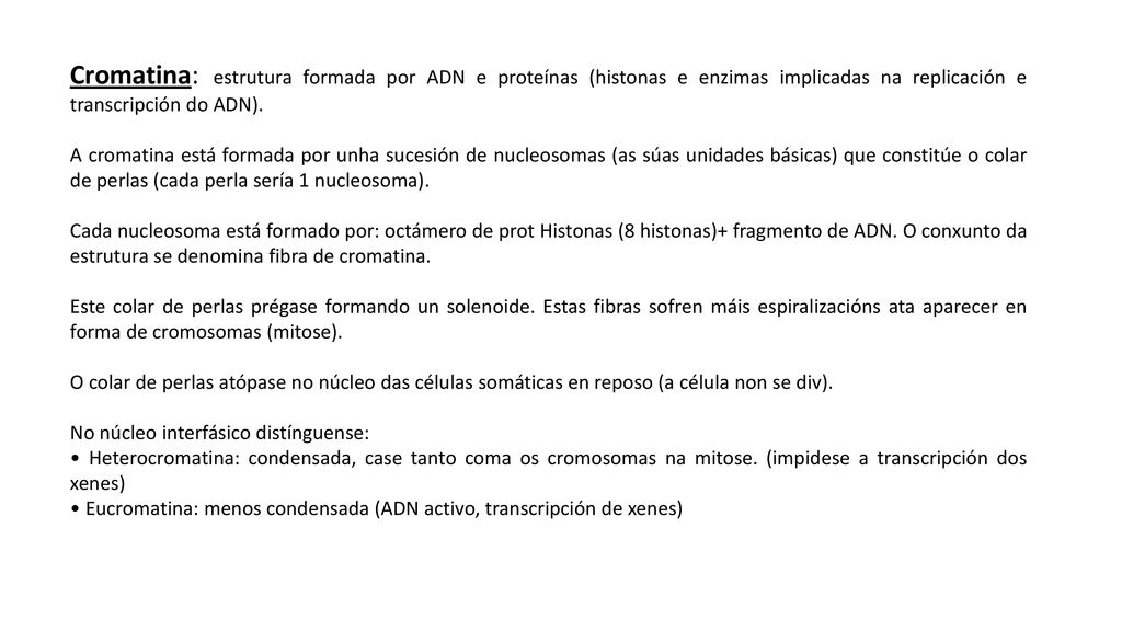 Cromatina: estrutura formada por ADN e proteínas (histonas e enzimas implicadas na replicación e transcripción do ADN).