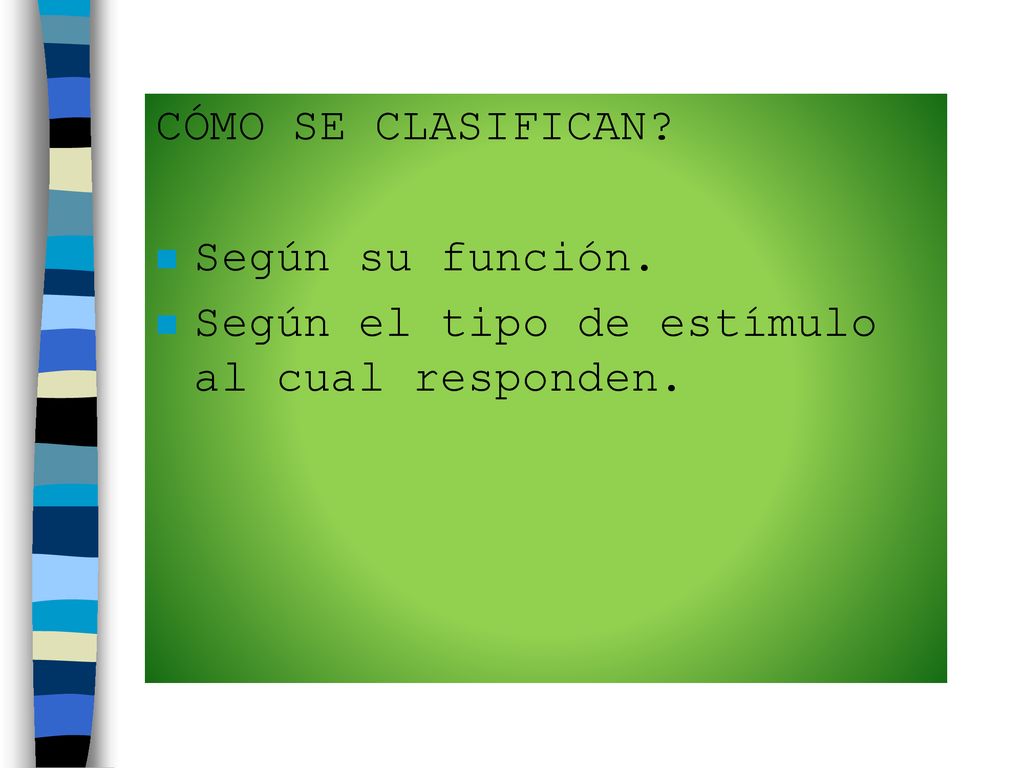 CÓMO SE CLASIFICAN Según su función. Según el tipo de estímulo al cual responden.