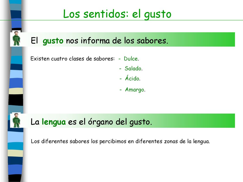 Los sentidos: el gusto El gusto nos informa de los sabores.