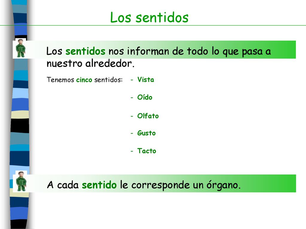 Los sentidos Los sentidos nos informan de todo lo que pasa a nuestro alrededor. Tenemos cinco sentidos: