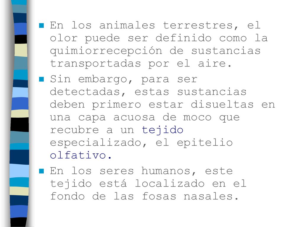 En los animales terrestres, el olor puede ser definido como la quimiorrecepción de sustancias transportadas por el aire.
