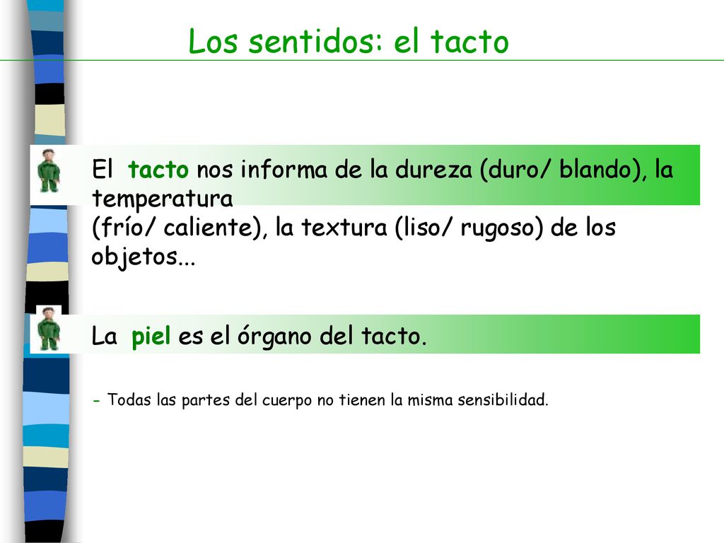 Los sentidos: el tacto El tacto nos informa de la dureza (duro/ blando), la temperatura.