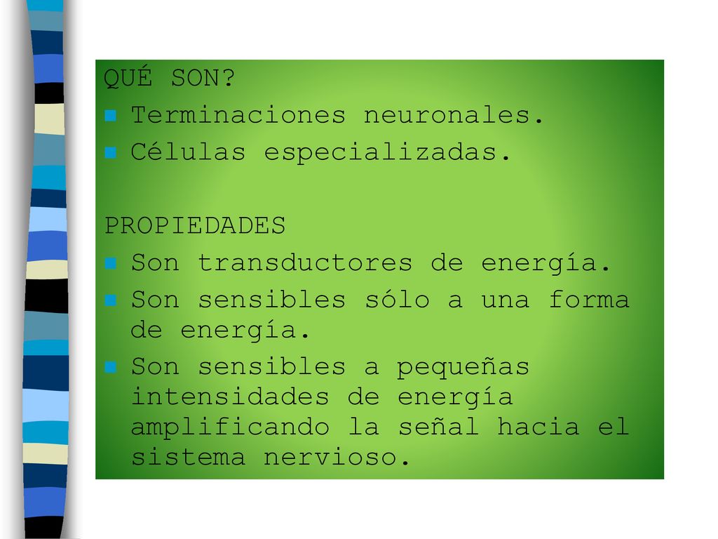 QUÉ SON Terminaciones neuronales. Células especializadas. PROPIEDADES. Son transductores de energía.