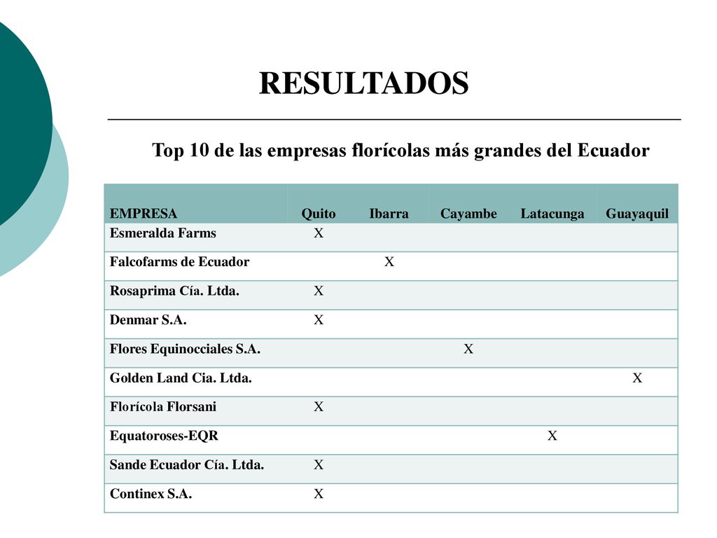 Top 10 de las empresas florícolas más grandes del Ecuador