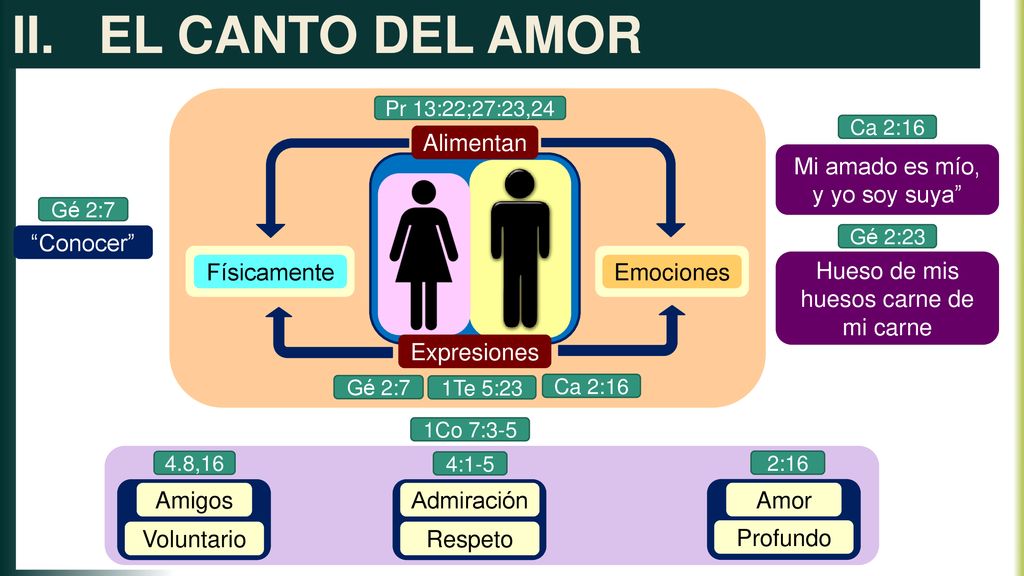 EL CANTO DEL AMOR Alimentan Mi amado es mío, y yo soy suya Conocer