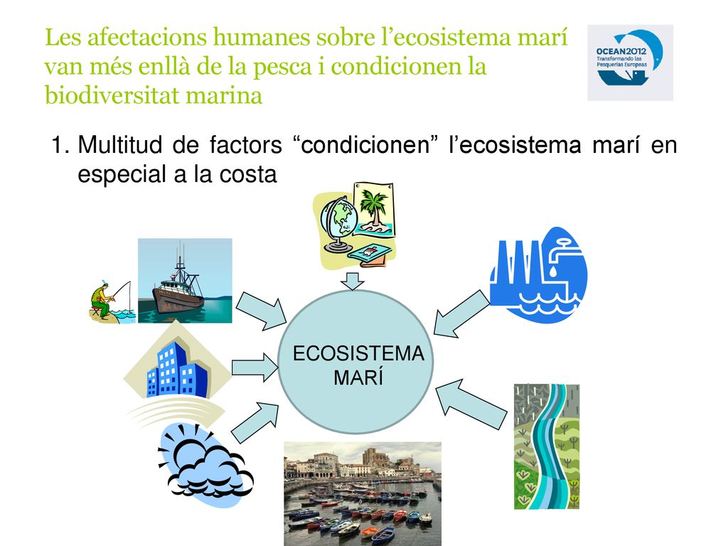 Les afectacions humanes sobre l’ecosistema marí van més enllà de la pesca i condicionen la biodiversitat marina