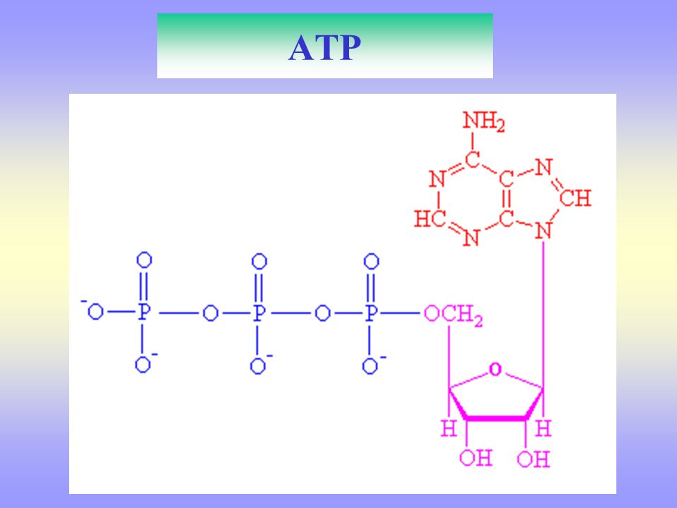ATP