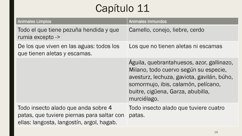 Capítulo 11 Todo el que tiene pezuña hendida y que rumia excepto ->