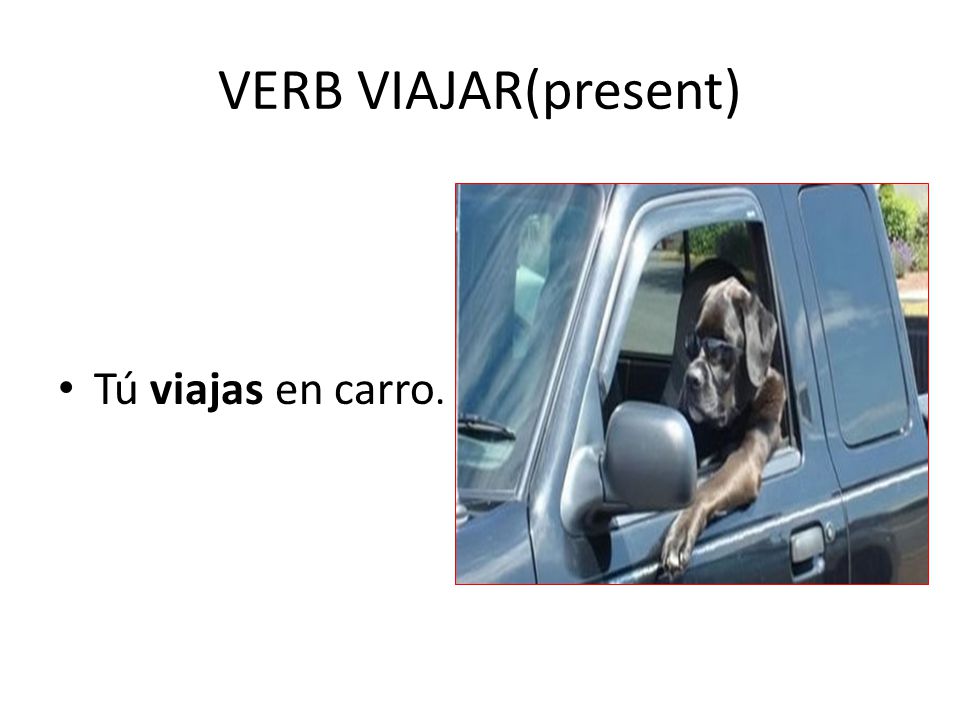 VERB VIAJAR(present) Tú viajas en carro.