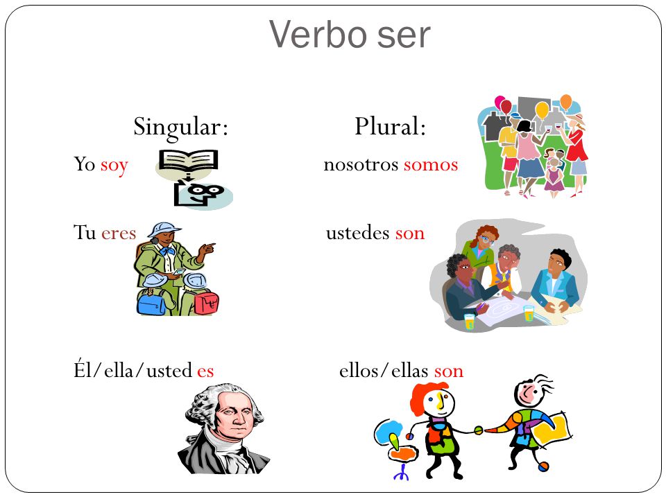 Verbo ser Singular: Plural: Yo soy nosotros somos Tu eres ustedes son Él/ella/usted es ellos/ellas son