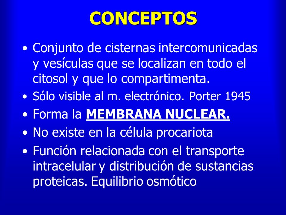 CONCEPTOS Conjunto de cisternas intercomunicadas y vesículas que se localizan en todo el citosol y que lo compartimenta.