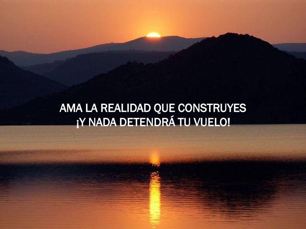 AMA LA REALIDAD QUE CONSTRUYES ¡Y NADA DETENDRÁ TU VUELO!