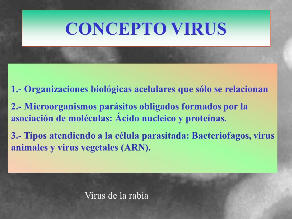 CONCEPTO VIRUS 1.- Organizaciones biológicas acelulares que sólo se relacionan.